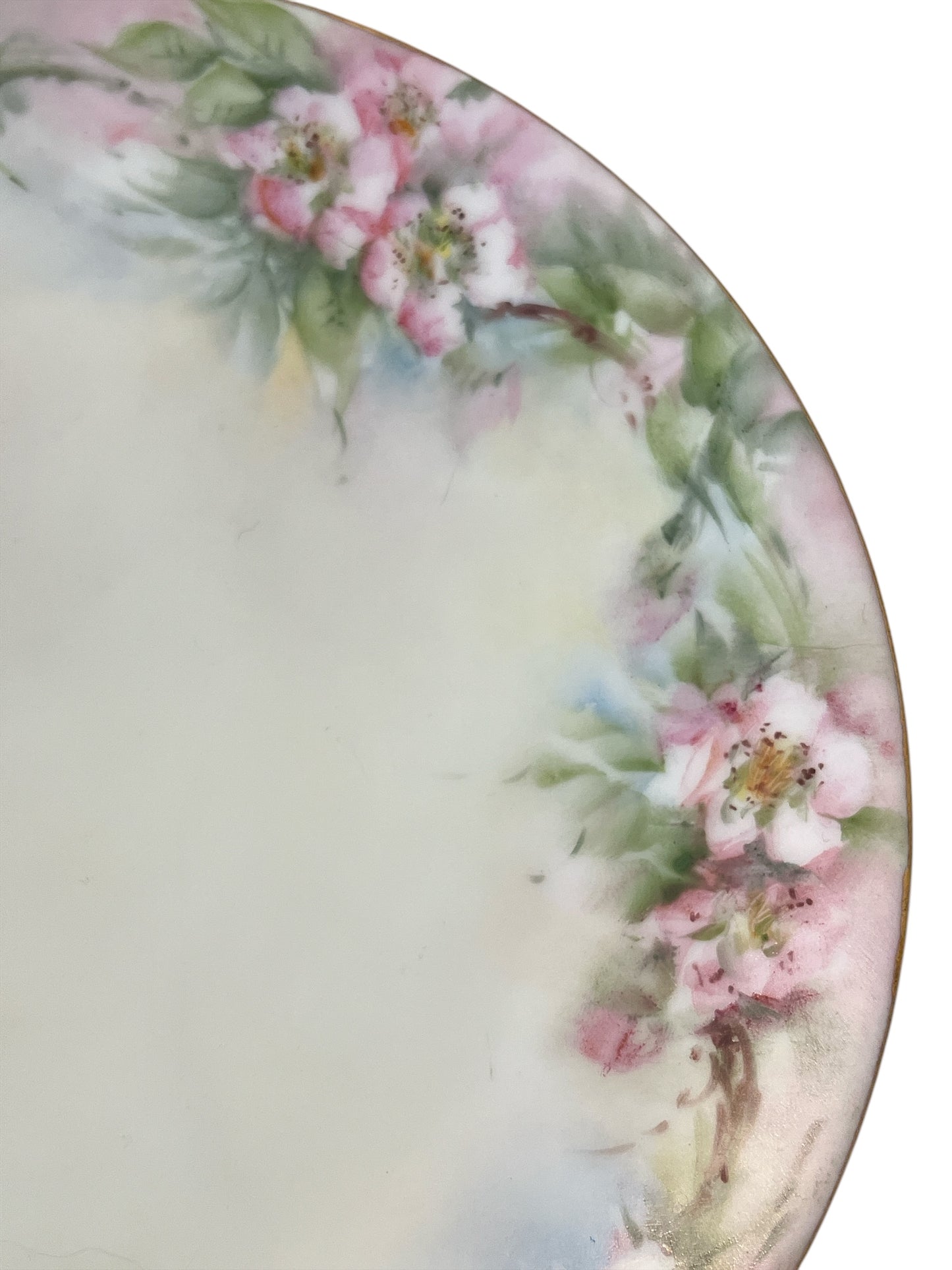 Antique Thomas “Sevres” Bavaria Hand-Painted Plate