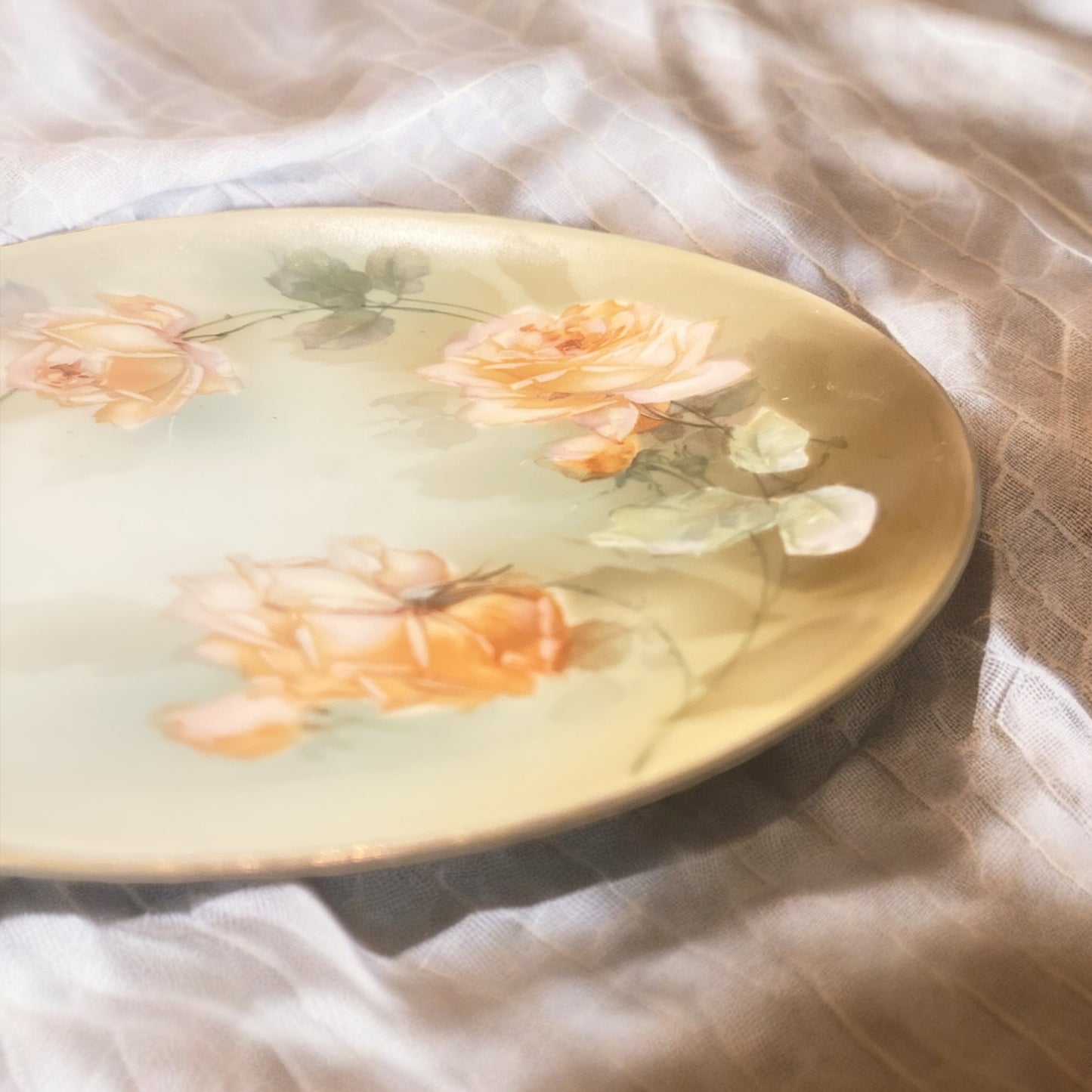 RS Germany Floral Porcelain Plate