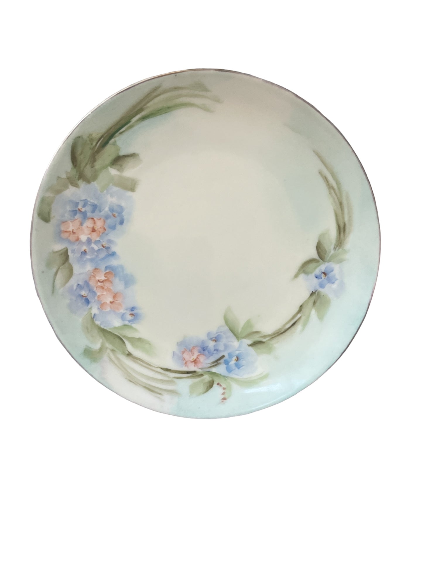 Bavarian Hand Painted H & Co Selb Dessert Plate