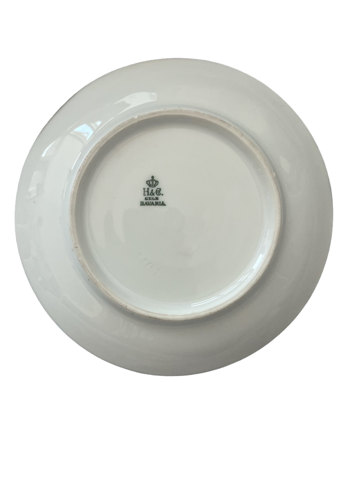 Bavarian Hand Painted H & Co Selb Dessert Plate