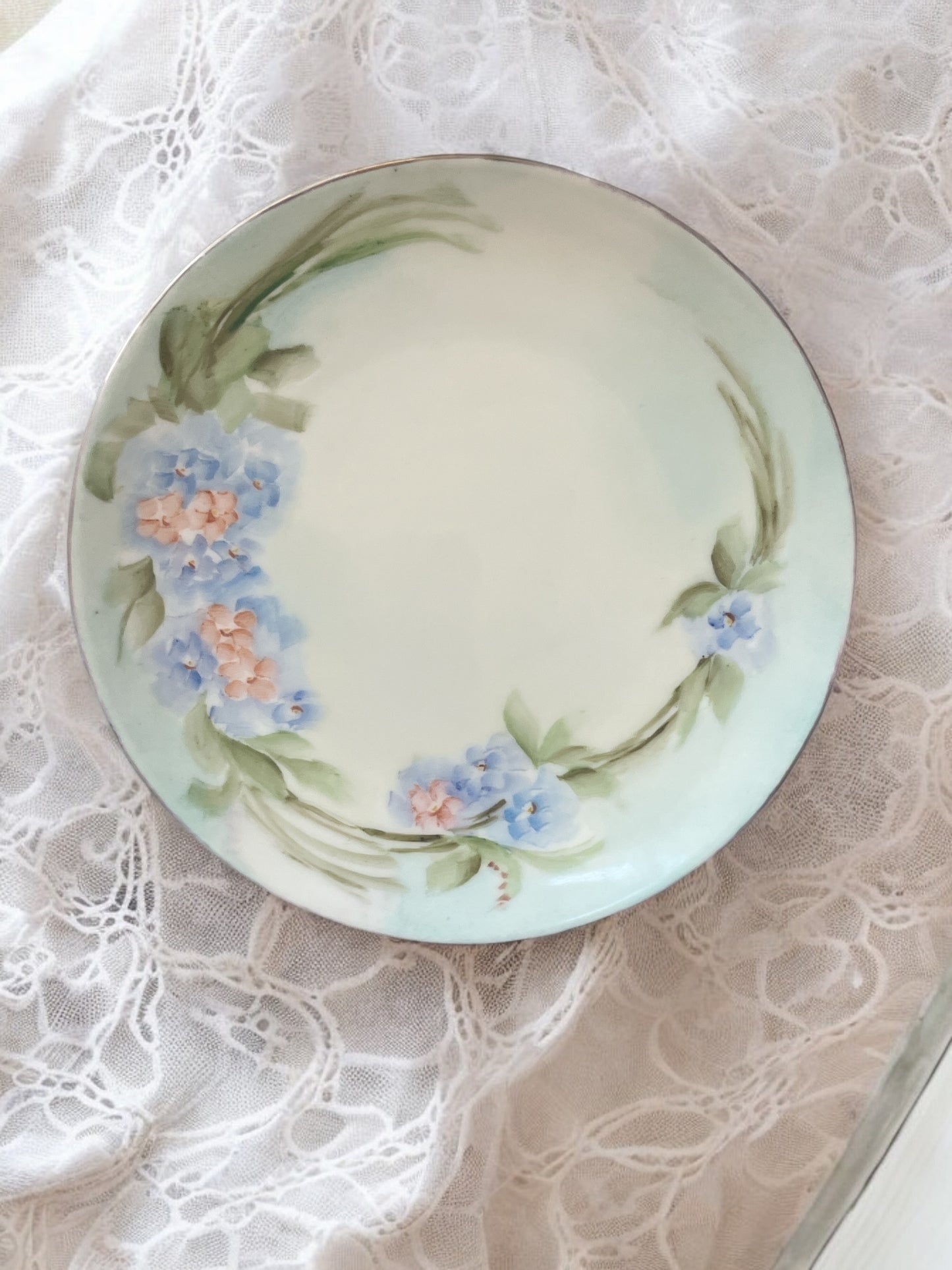 Bavarian Hand Painted H & Co Selb Dessert Plate