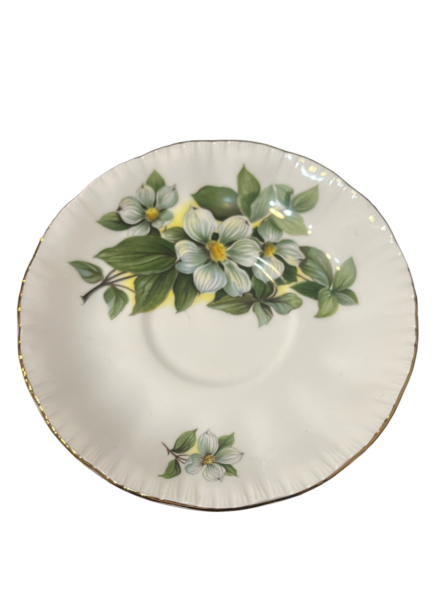 Vintage Paragon “Dogwood” Saucer